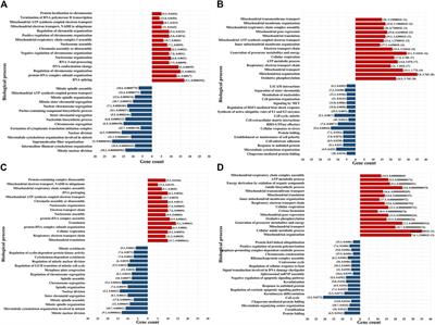 Proteomic assessment of SKBR3/HER2+ breast cancer cellular response to Lapatinib and investigational Ipatasertib kinase inhibitors